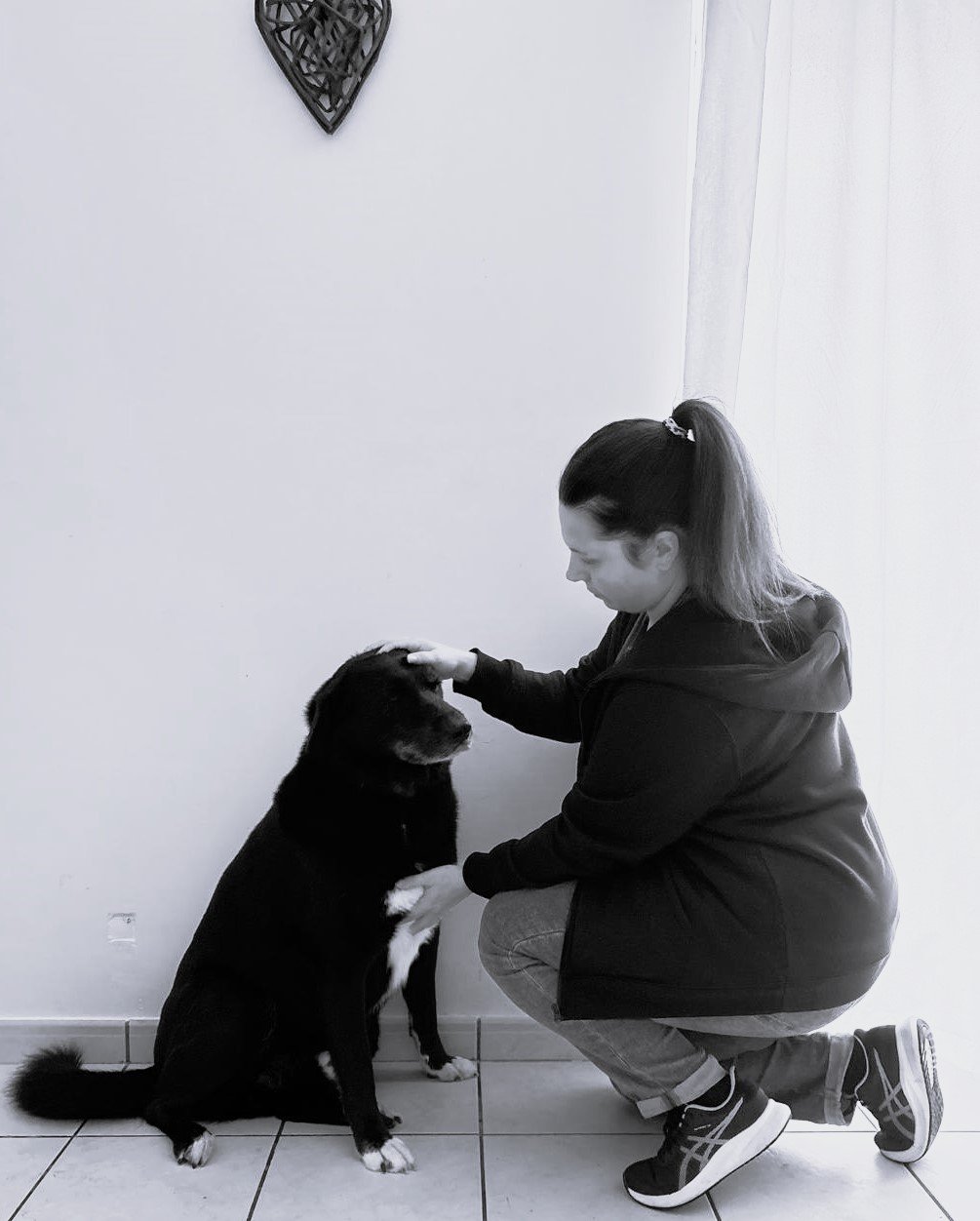 l'accompagnement harmonie – 3 séances