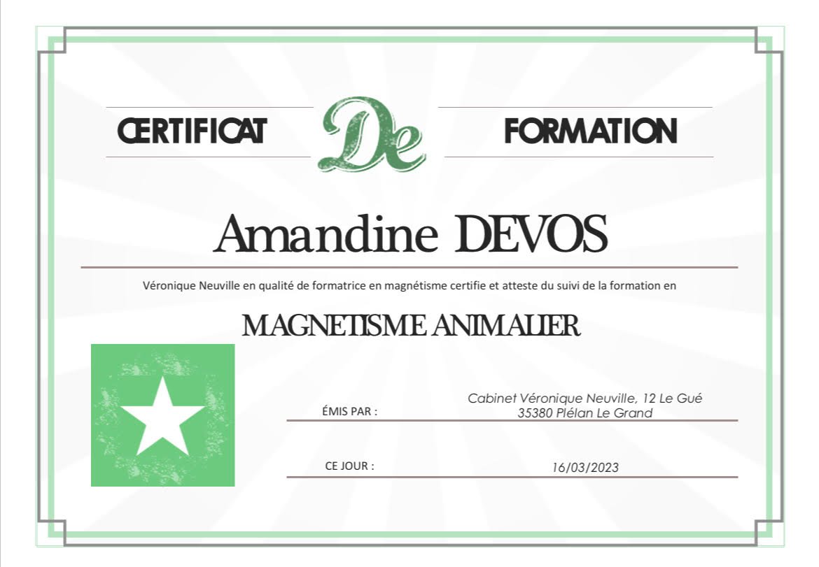 Les piliers de Racines et Poils magnetisme