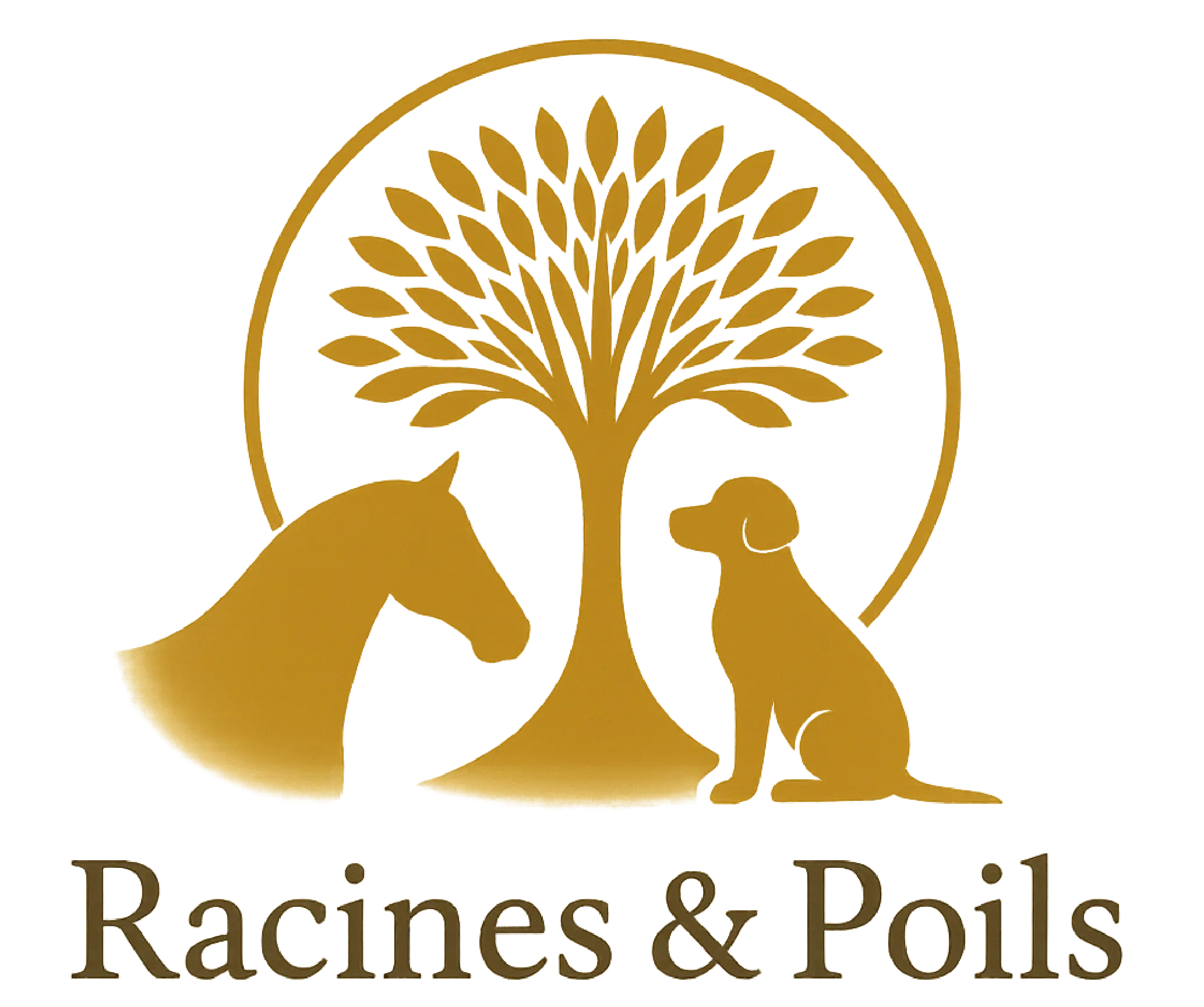 L'accompagnement énergétique pour votre animal logo racines et poils sans fond webp