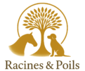 logo racines et poils webp